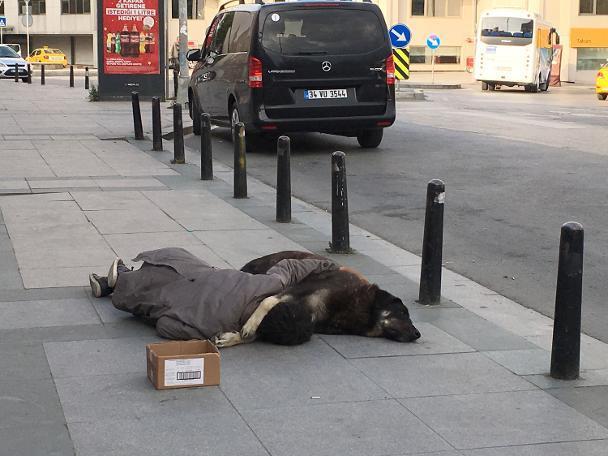 Homeless man and dog hugging on the pavement in Taksim touch hearts