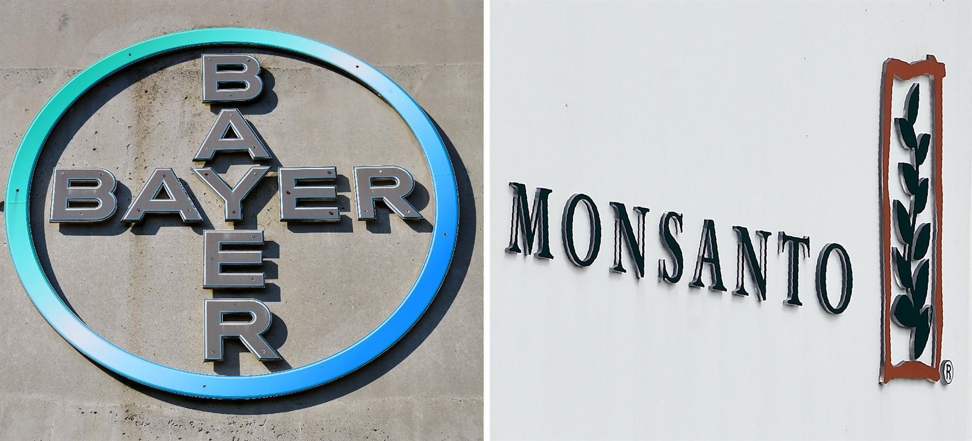 Bayer to ditch Monsanto name after mega-merger