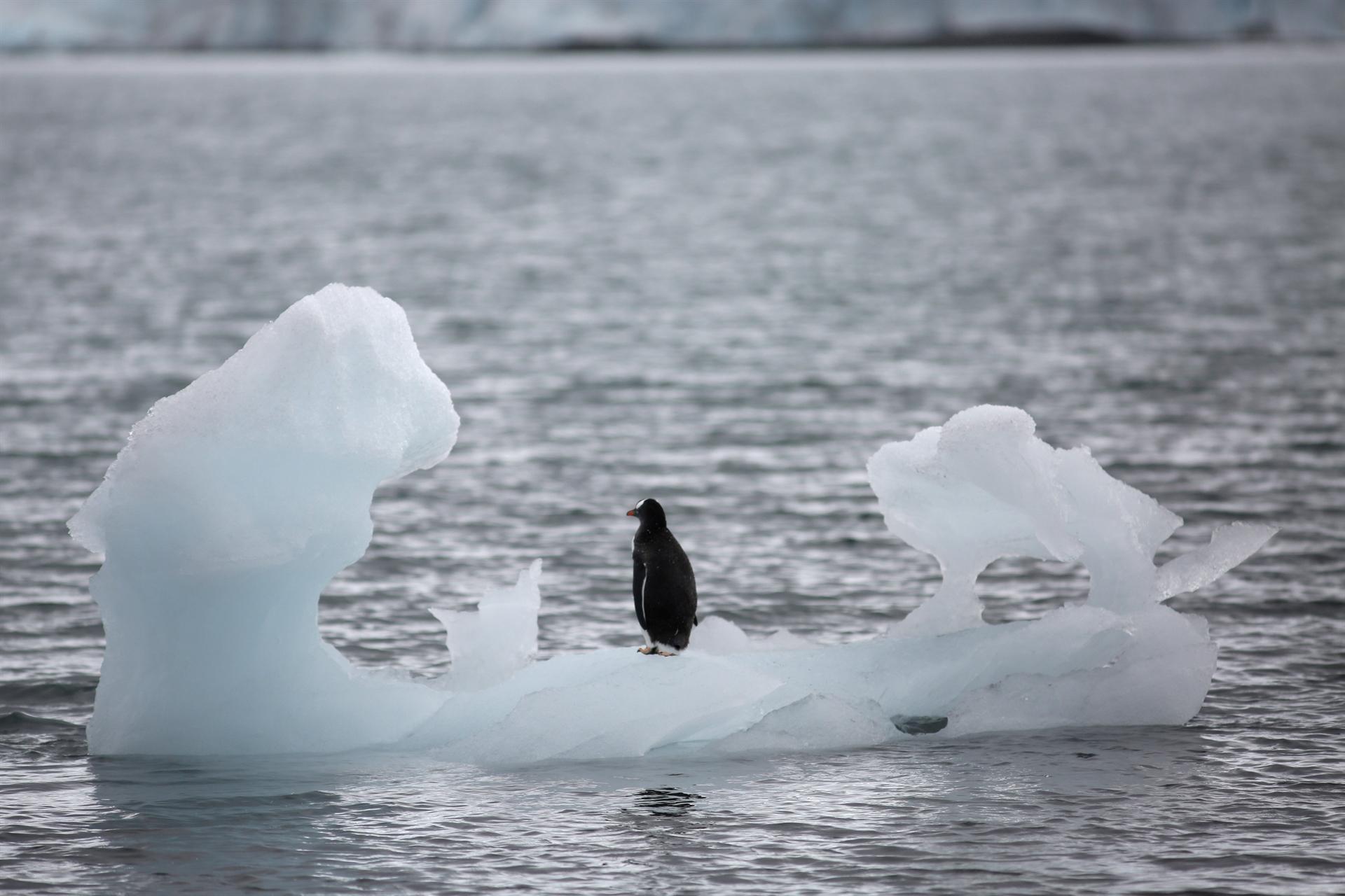 Antarcticas ice sheet is melting three times faster than before