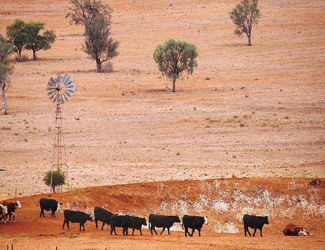N Africa, Mideast face drought threat