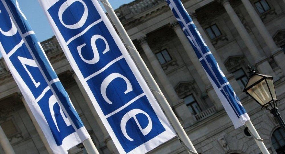 Turkey slams OSCEs election observation interim report