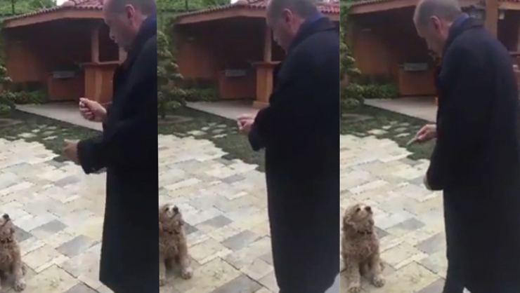 Video showing Erdoğan giving cucumber to dog goes viral