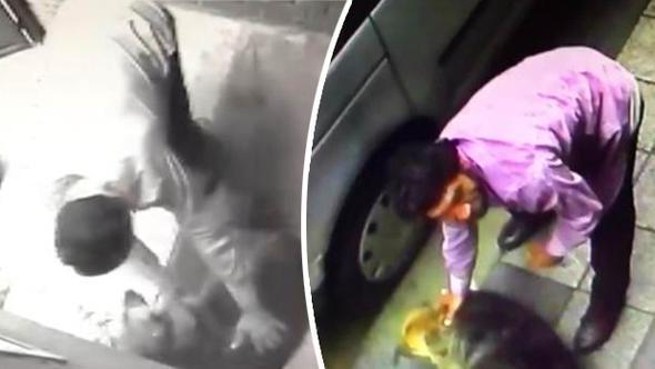Another man detained in Istanbul over violence against stray dog