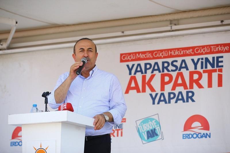 Turkish FM calls for joint efforts with Iran against PKK