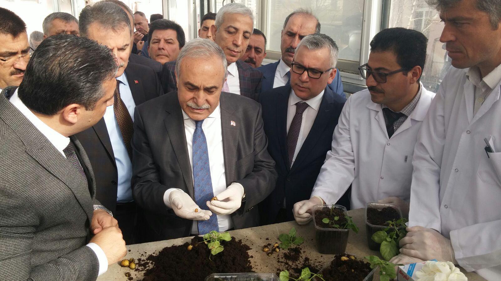 Dark hands behind skyrocketing potato prices, Turkey’s Agriculture Minister says