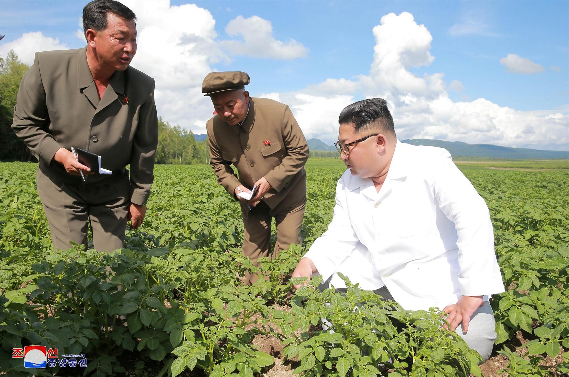 Did N. Korea’s Kim put potatoes over Pompeo