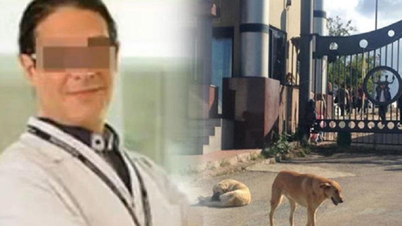 Protest held against Turkish professor who stabbed stray dog for killing pet cat