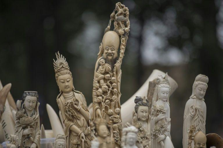 China seizes 156 mammoth tusks in huge ivory haul