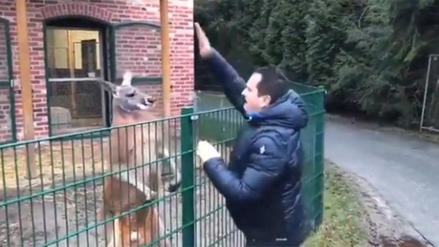 Turkish televangelist stirs public outcry for abusing kangaroo