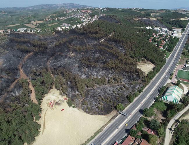 Mudanya forest fire turns 20 hectares of land into ashes