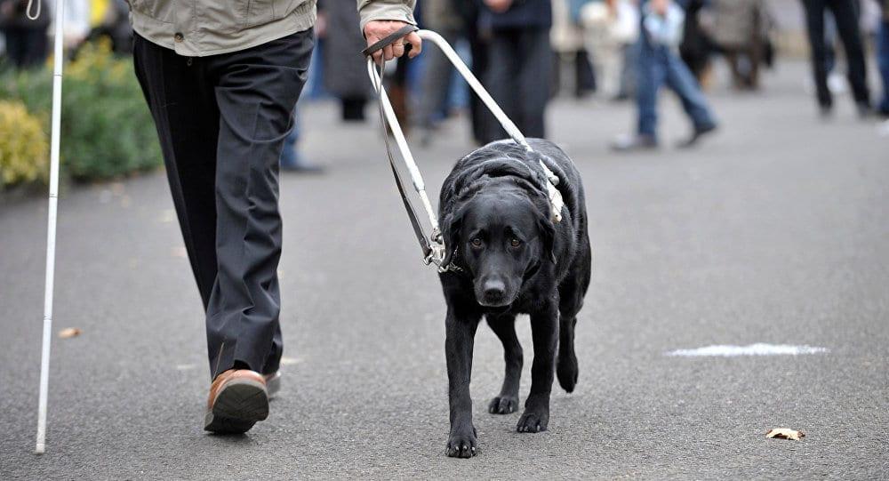 Turkey’s third official guide dog pairs with an Olympic athlete