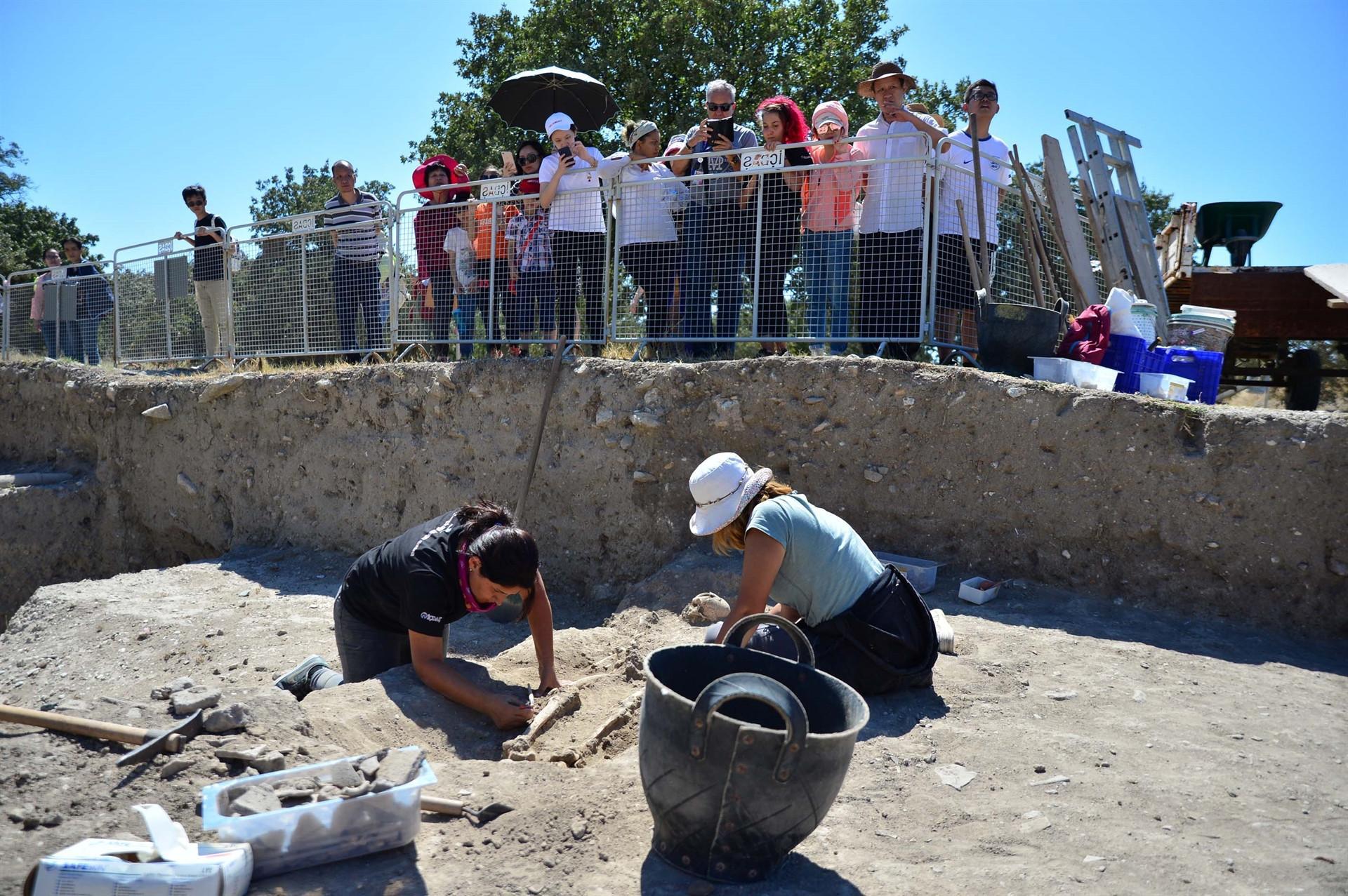 There could be surprising findings in Troy: Excavation head