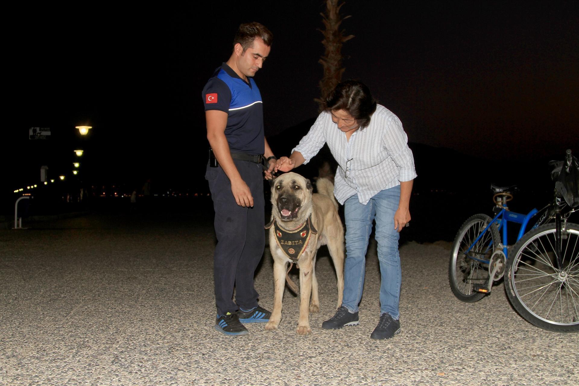 Abused dog works for Municipality Police