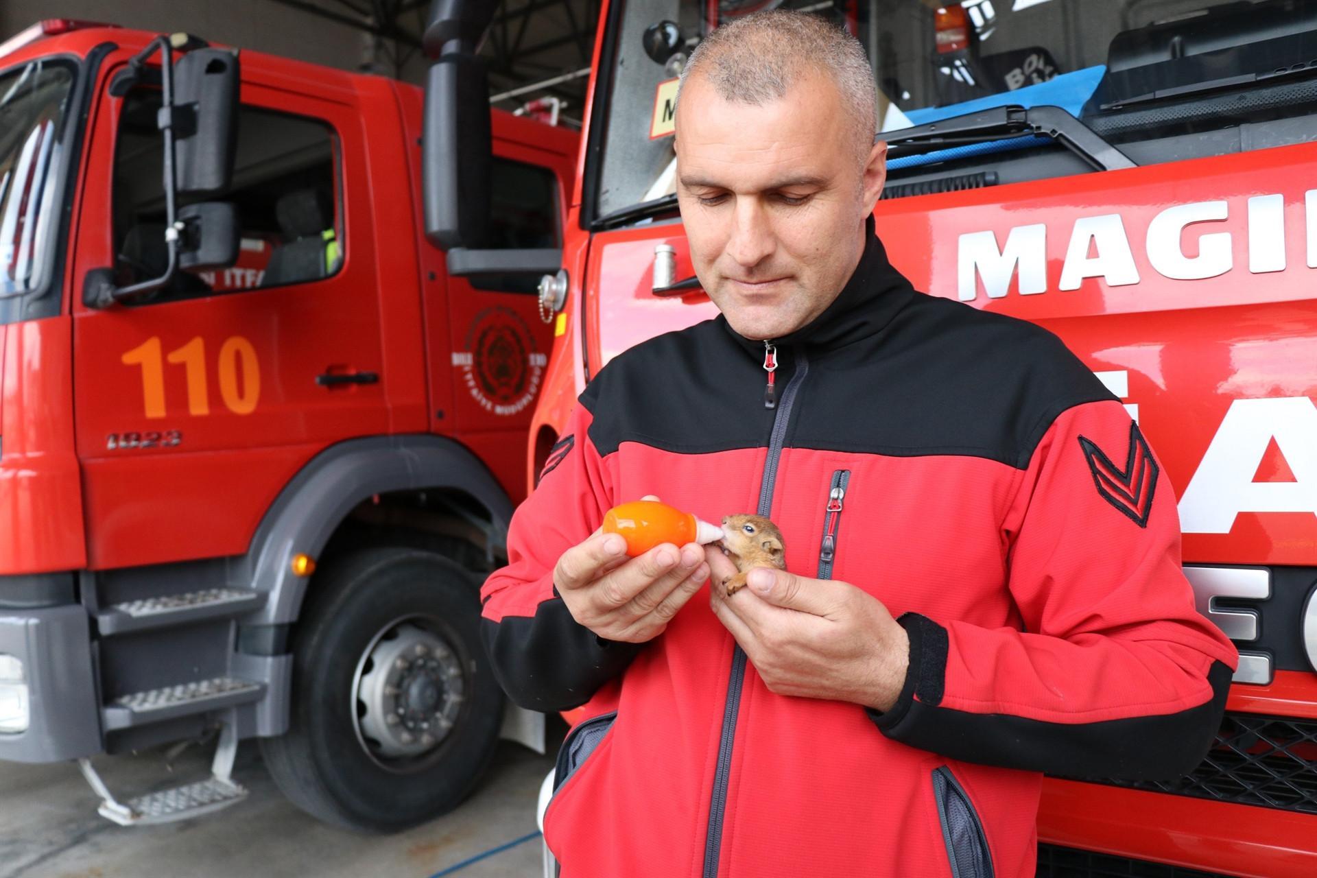 Firefighter takes care of baby squirrel