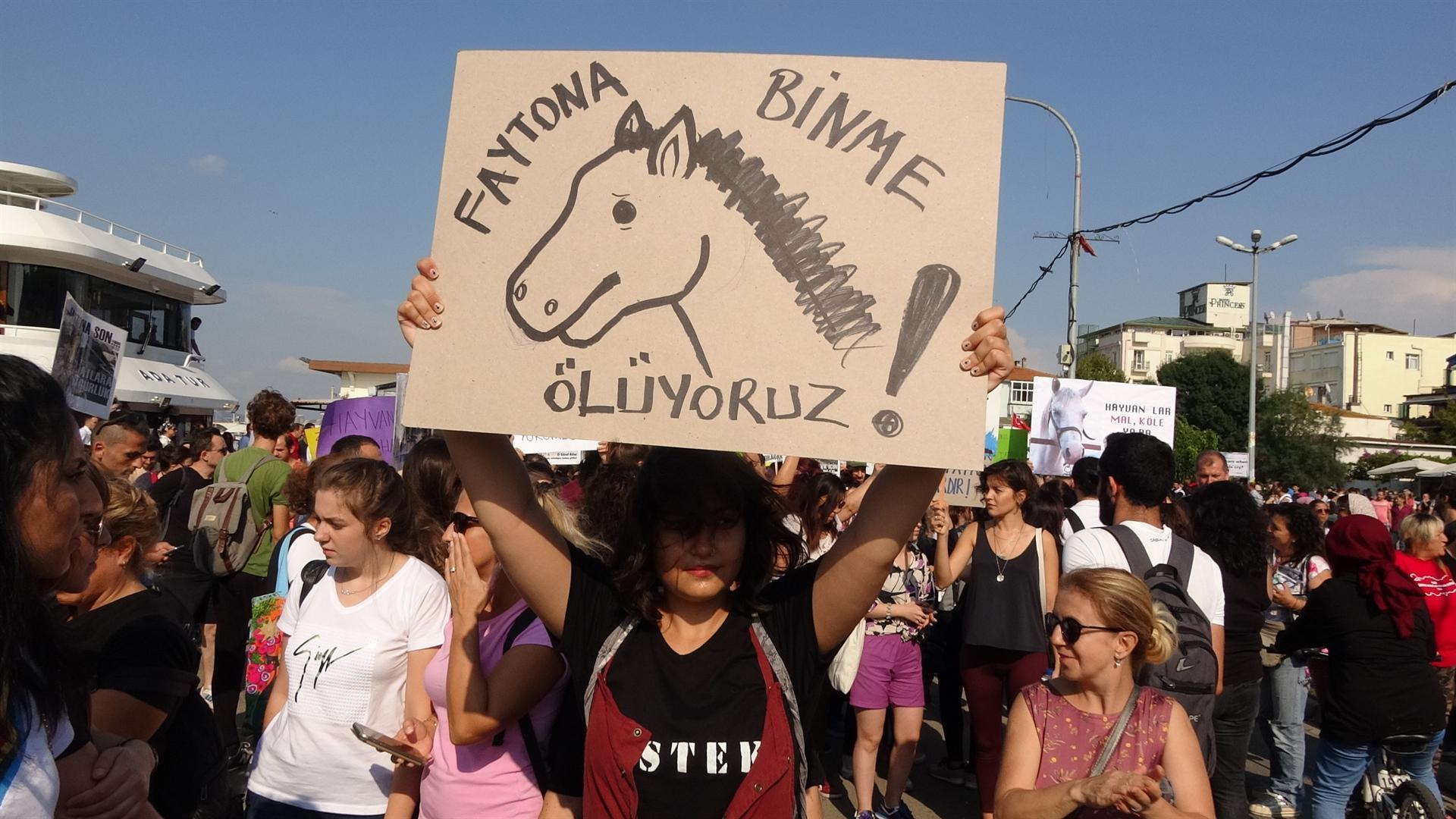 Activists call for ban on horse-drawn carriages on Istanbul’s Büyükada