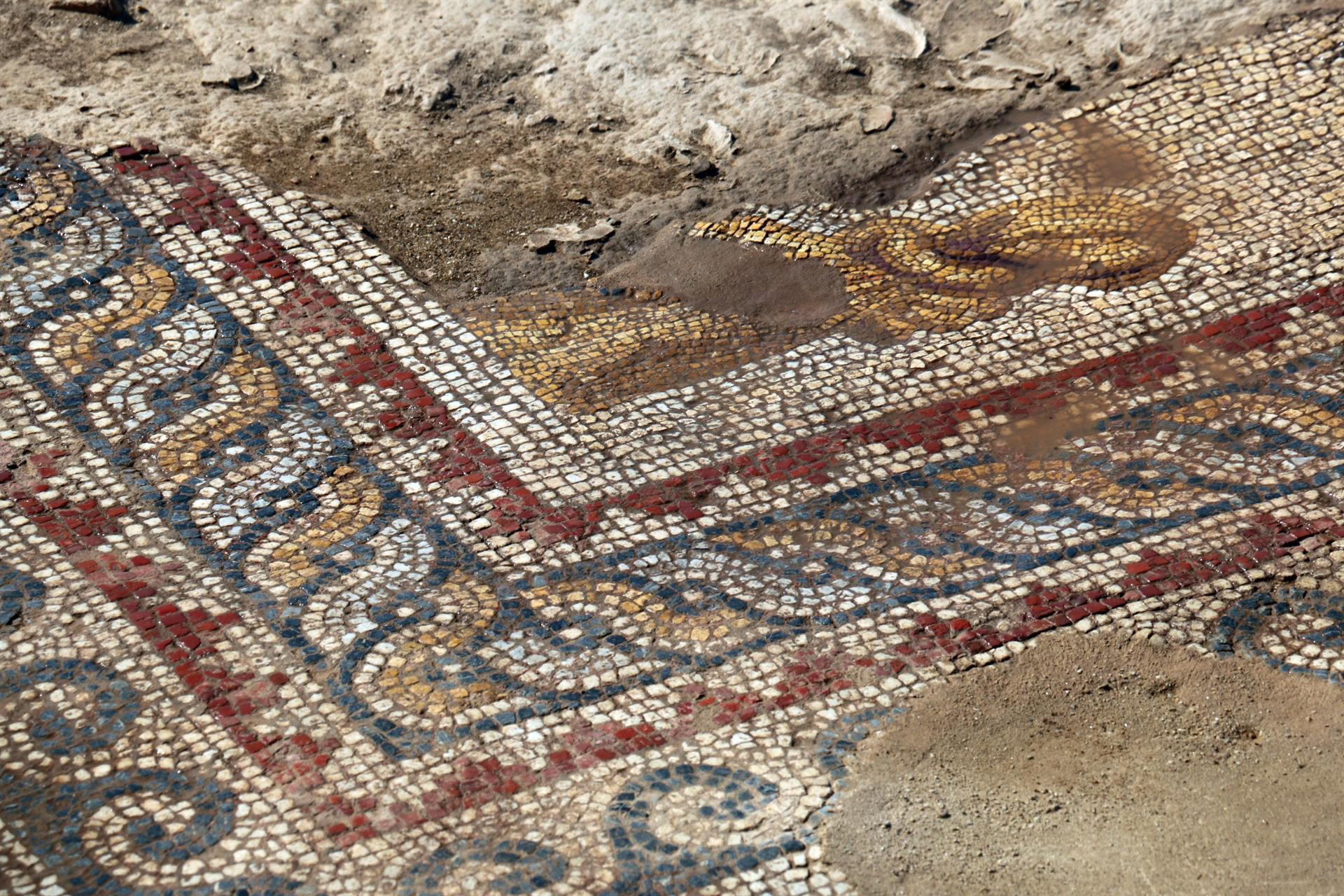 Floor mosaic unearthed in ancient Nysa
