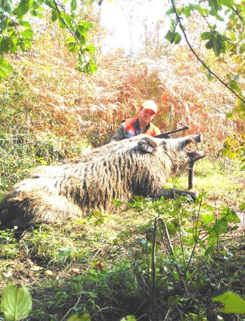 Turkish hunter’s pose with massive boar divides social media users