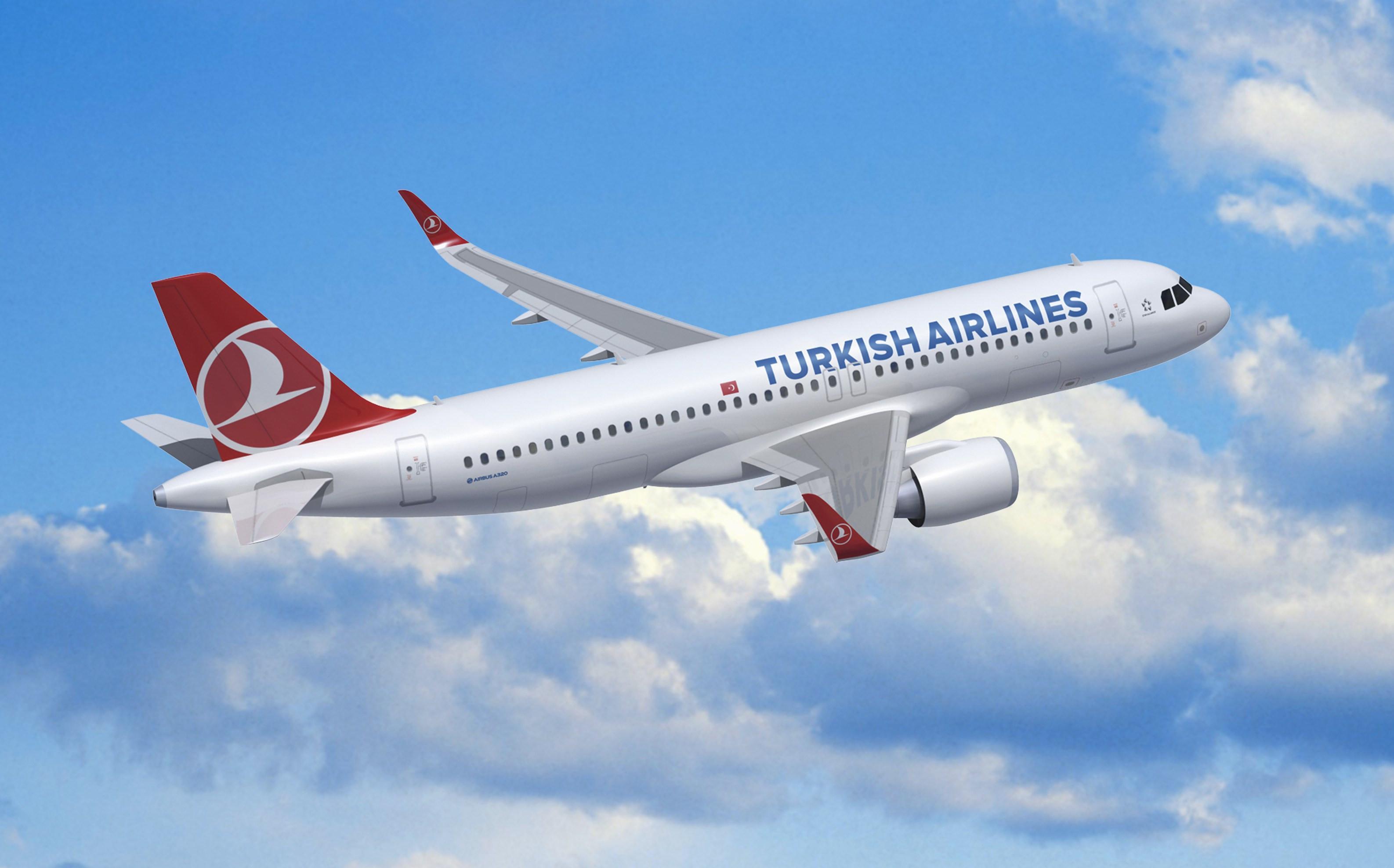 Turkish pilot considers aborting landing due to vomiting passenger