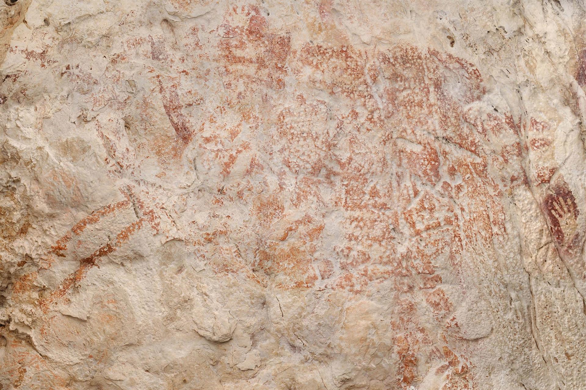 Oldest known animal drawing found in remote Indonesian cave