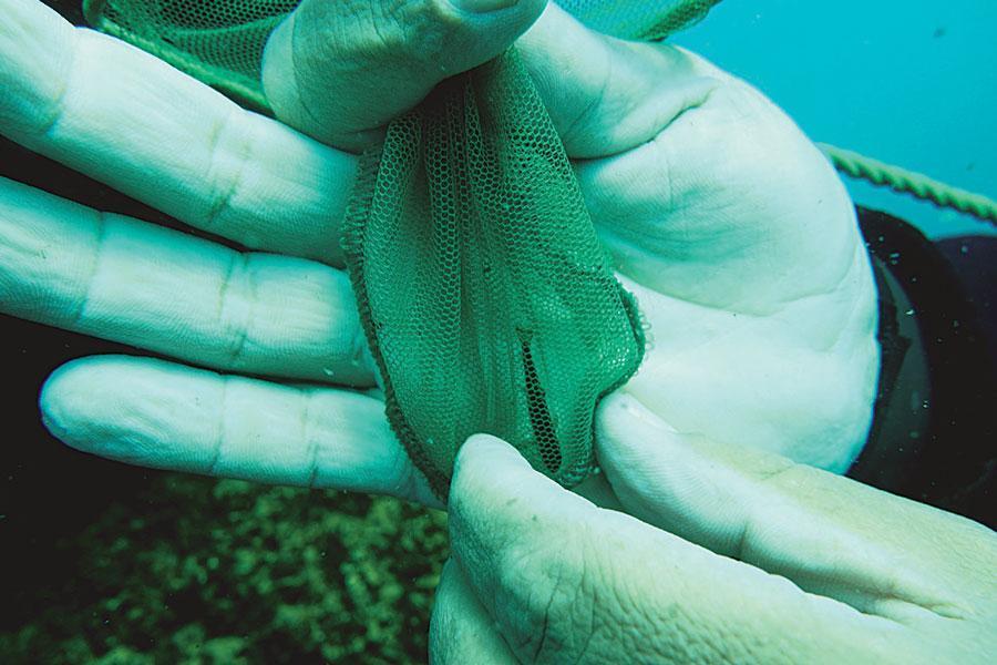 New fish species in Lake Van surprise researchers