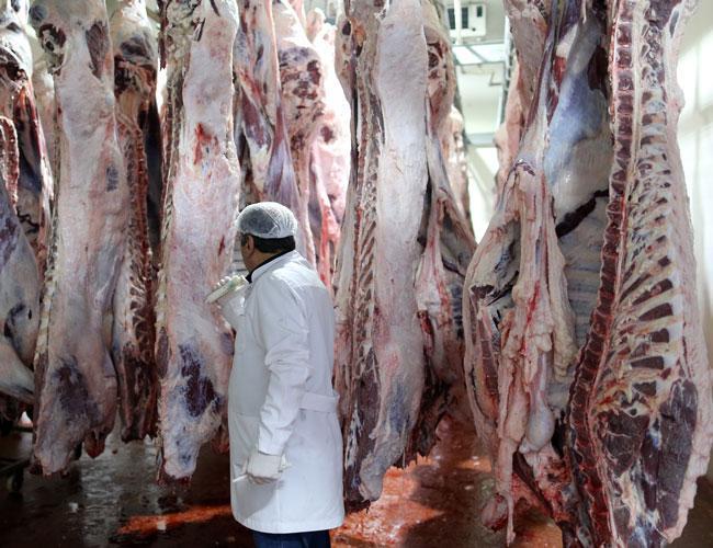 Turkey’s red meat production rises in third quarter