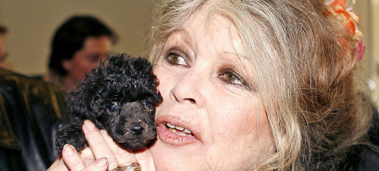 Brigitte Bardot seeks Christmas miracle for animals