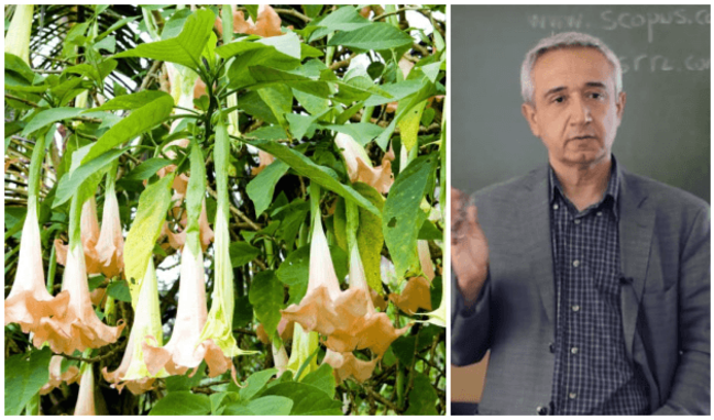 Missing Turkish professor found dead in Colombia in suspected case of devils breath