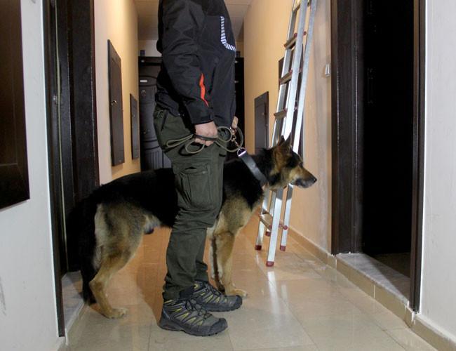 205,000 drug suspects detained in 2018: Ministry