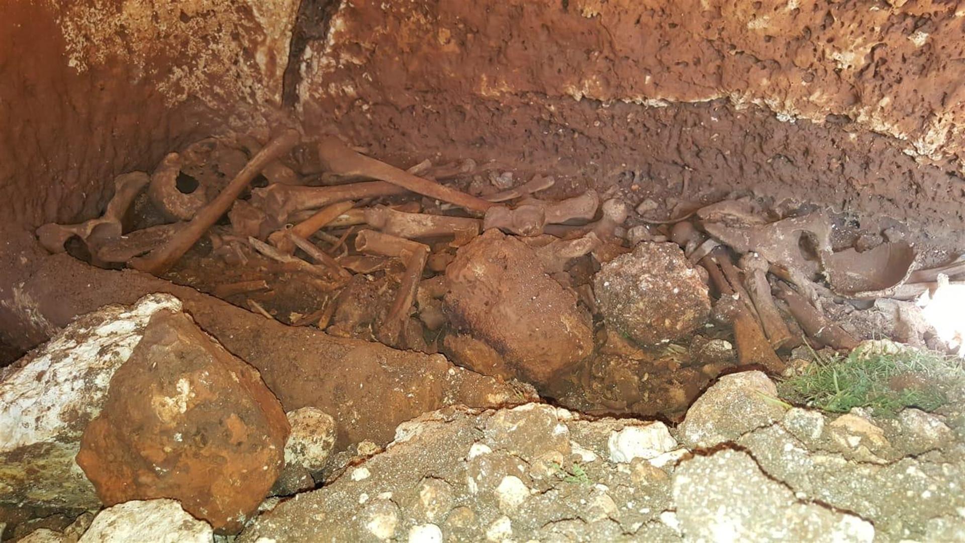 Roman-era burial chamber found in Şanlıurfa