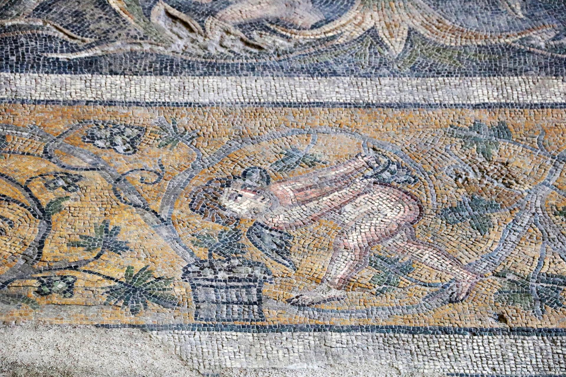 Two mosaic fields in Germanicia open to visitors