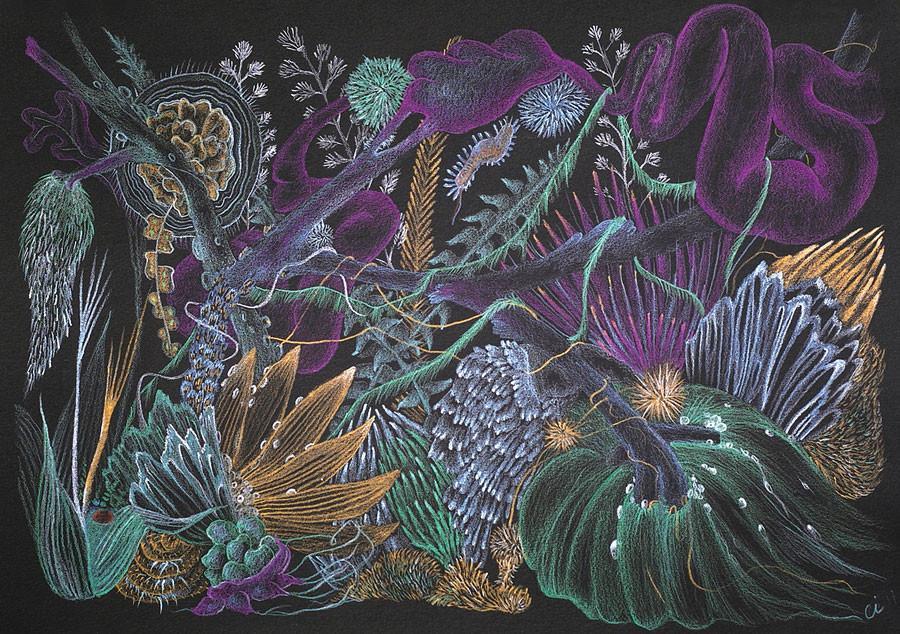 Where science and art collide