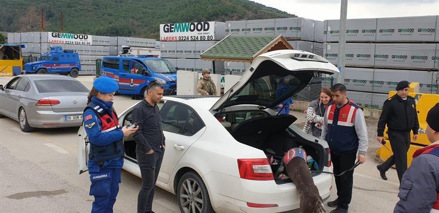 Over 3,500 detained in nationwide safety operation in Turkey