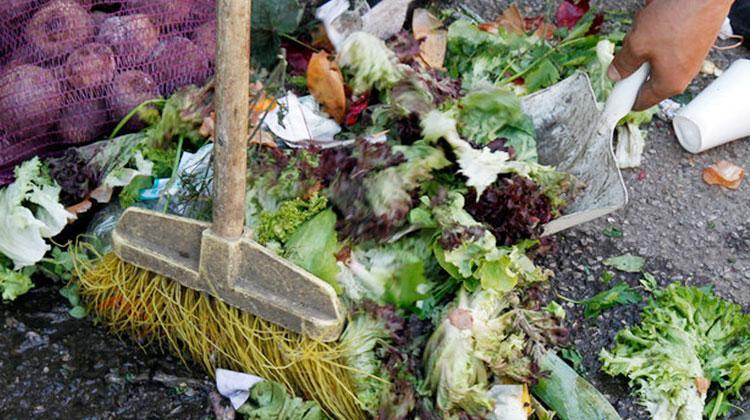 Turkey wastes 15 percent of national income