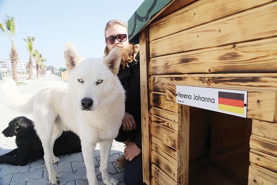 International support for Adana’s stray dogs
