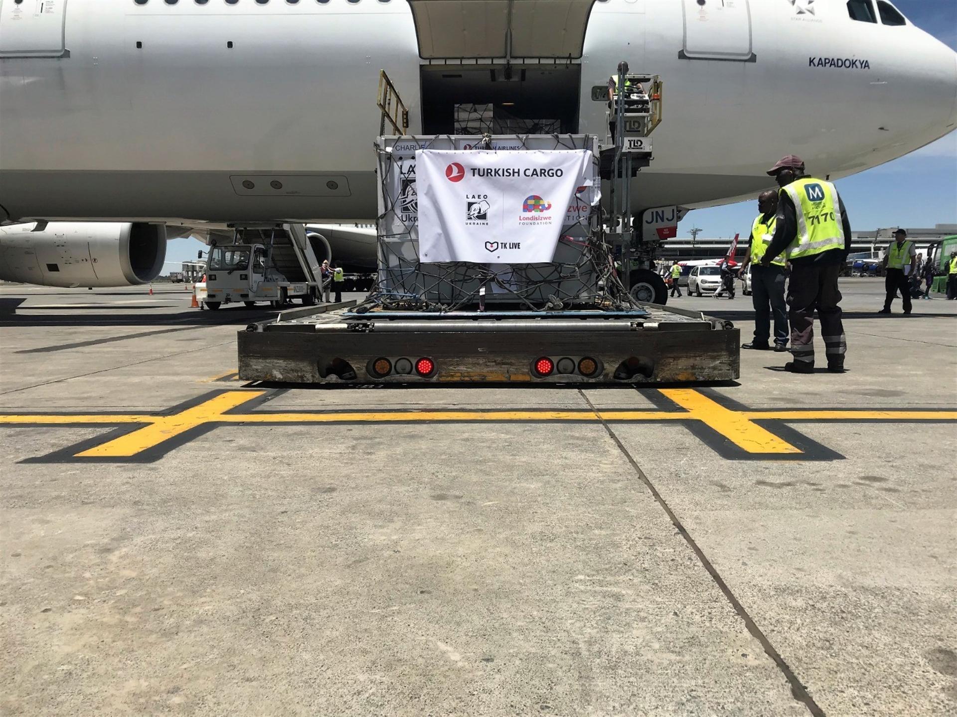 Turkish Airlines moves circus lions to natural habitat