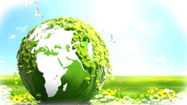 ‘Zero Waste Regulations’ published officially