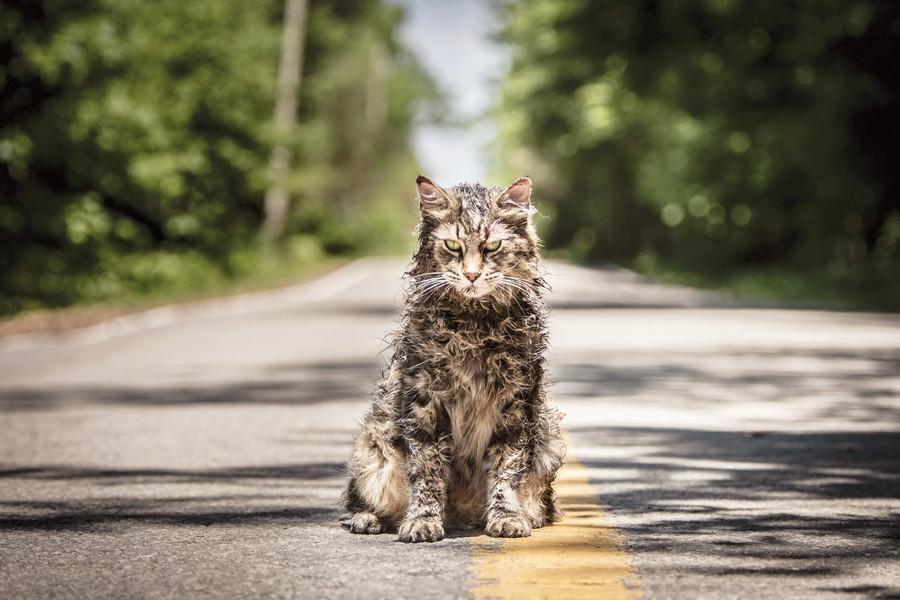 Pet Sematary exhumes a Stephen King masterwork
