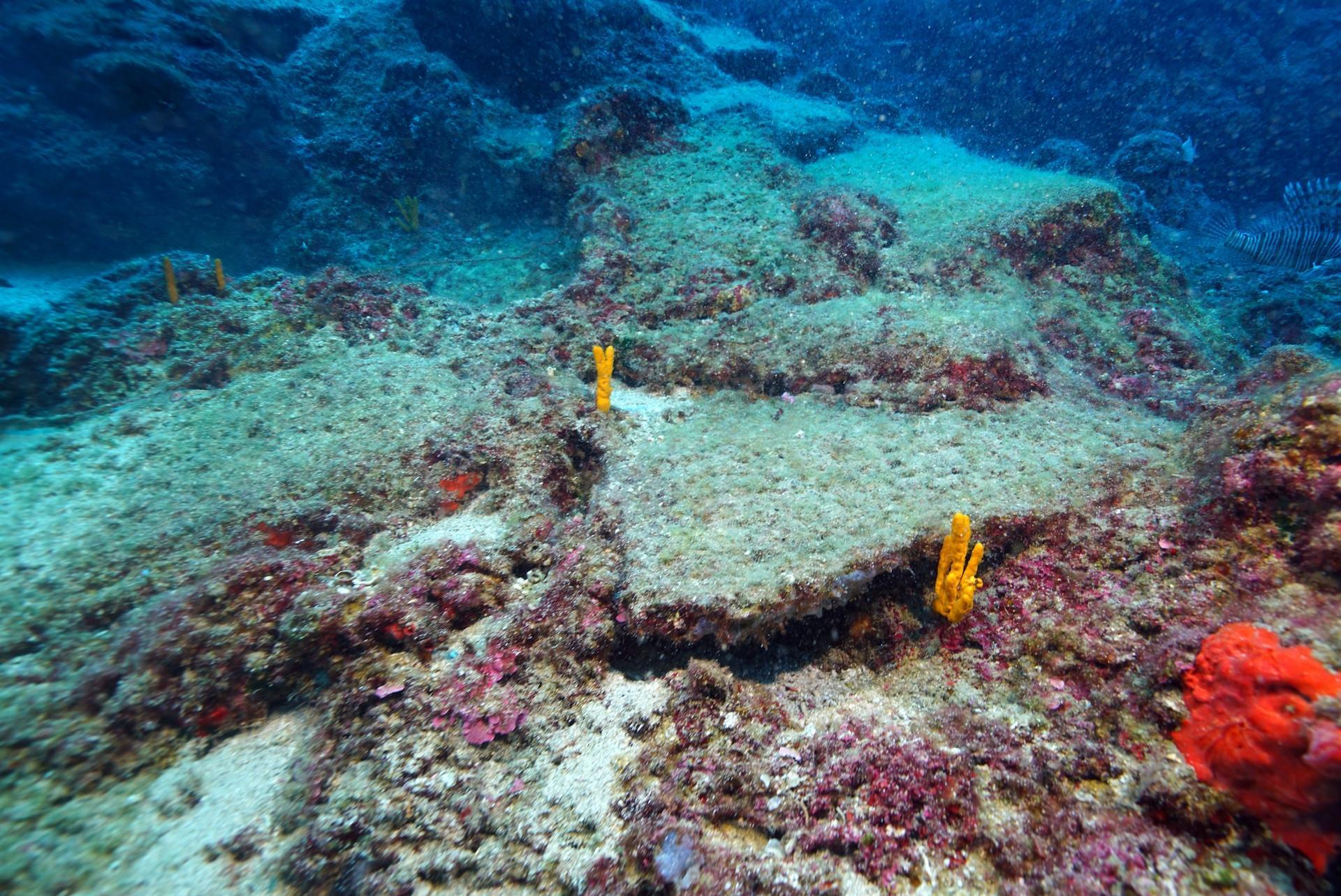 World’s oldest shipwreck found in Mediterranean, say officials