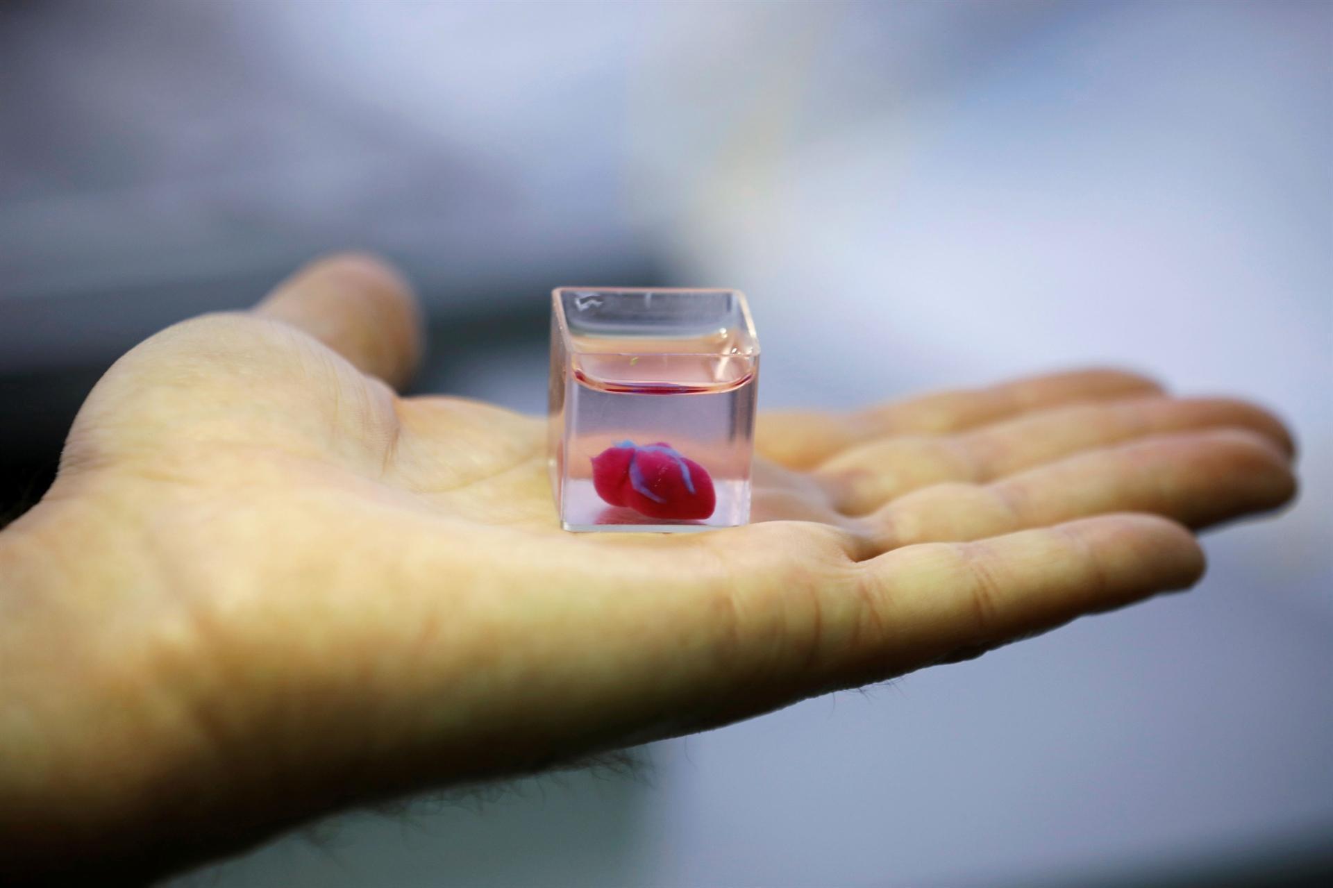 First 3D print of heart with human tissue, vessels unveiled