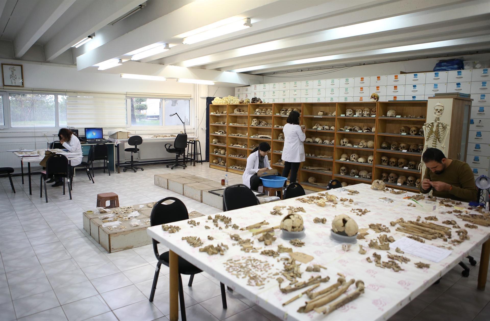 Turkey launches first anthropology DNA laboratory
