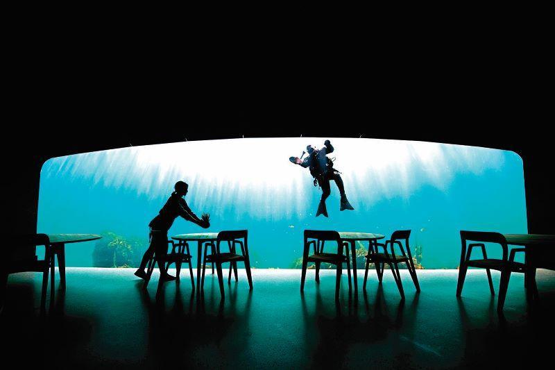 Eat, Marvel: Europe’s first underwater restaurant