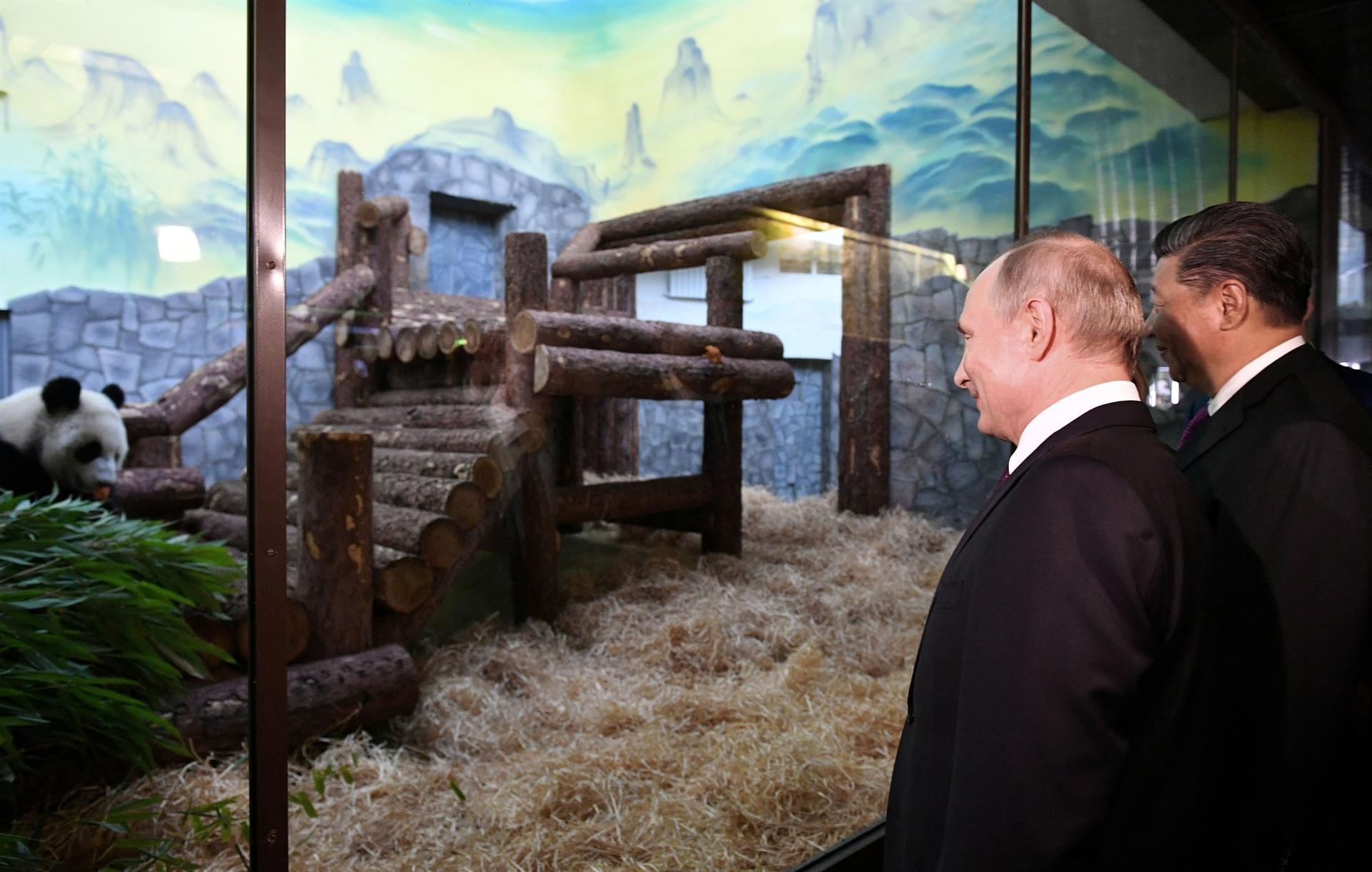 Chinas panda diplomacy puts a smile on best friend Putins face