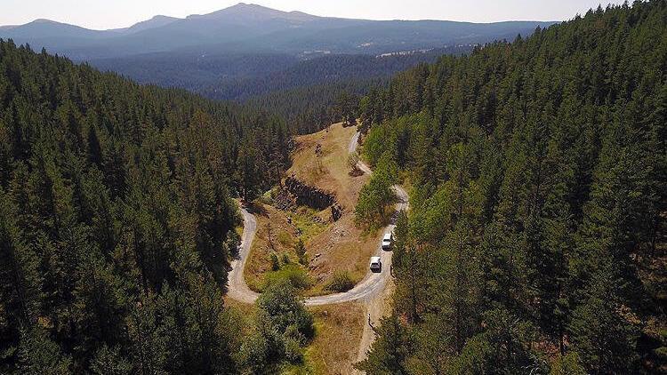 Turkey ranks third worldwide in growing forestland