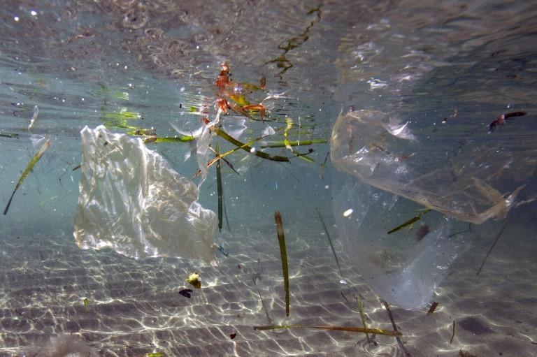 G20 agrees to tackle ocean plastic waste