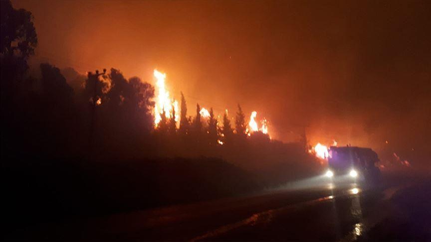 Forest fires destroy over 10 hectares of land