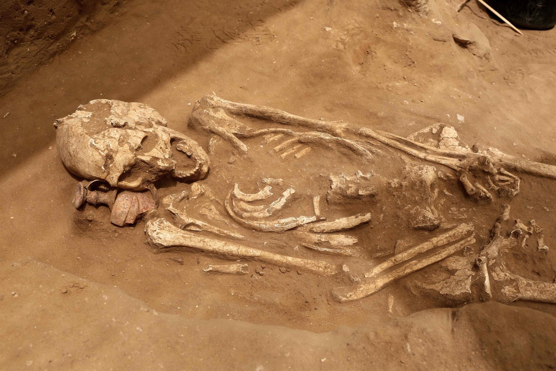 Scholars say Philistine genes help solve biblical mystery