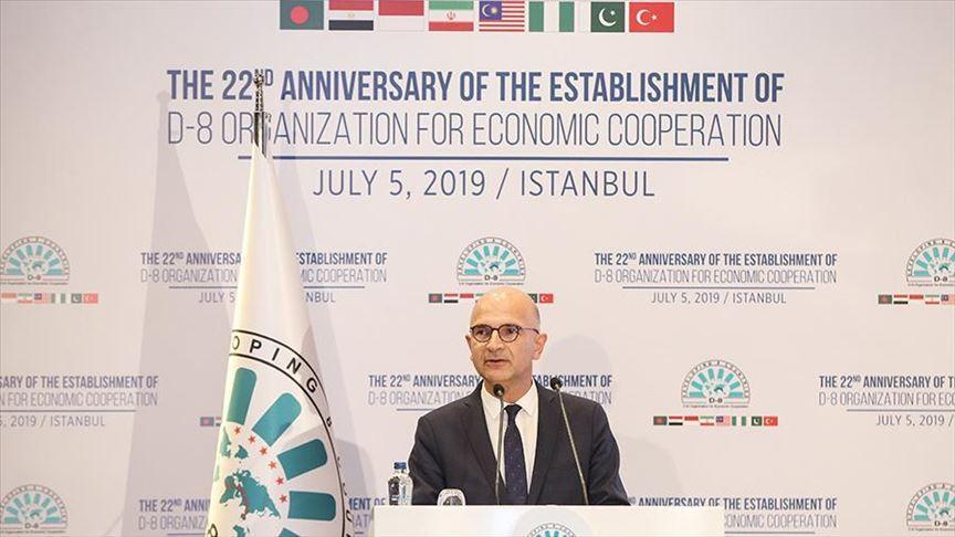 Istanbul event marks anniversary of D-8 economic group