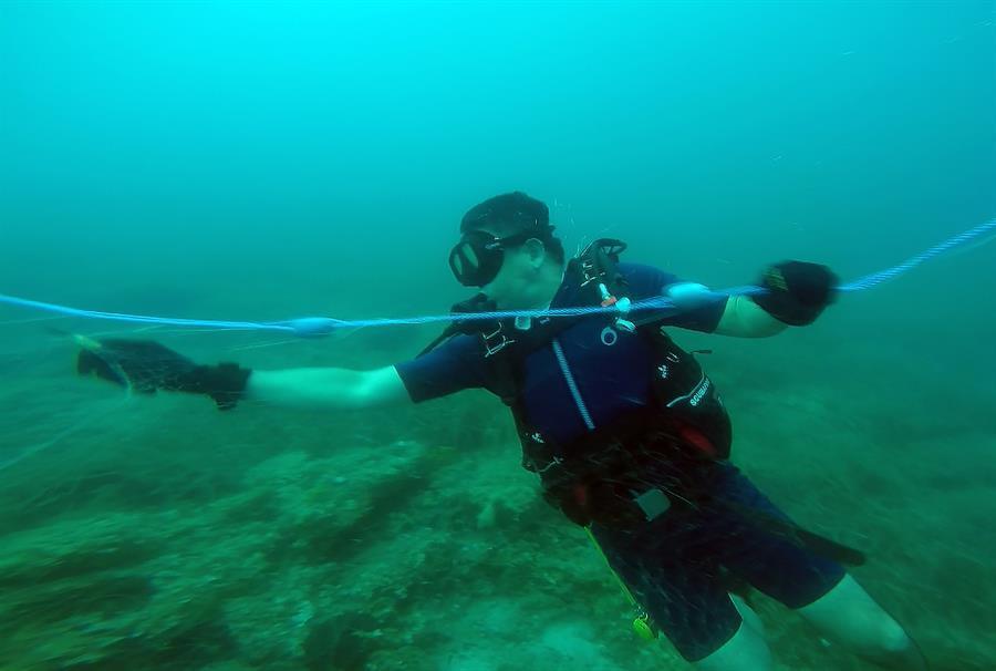 Abandoned fishing nets removed in five years