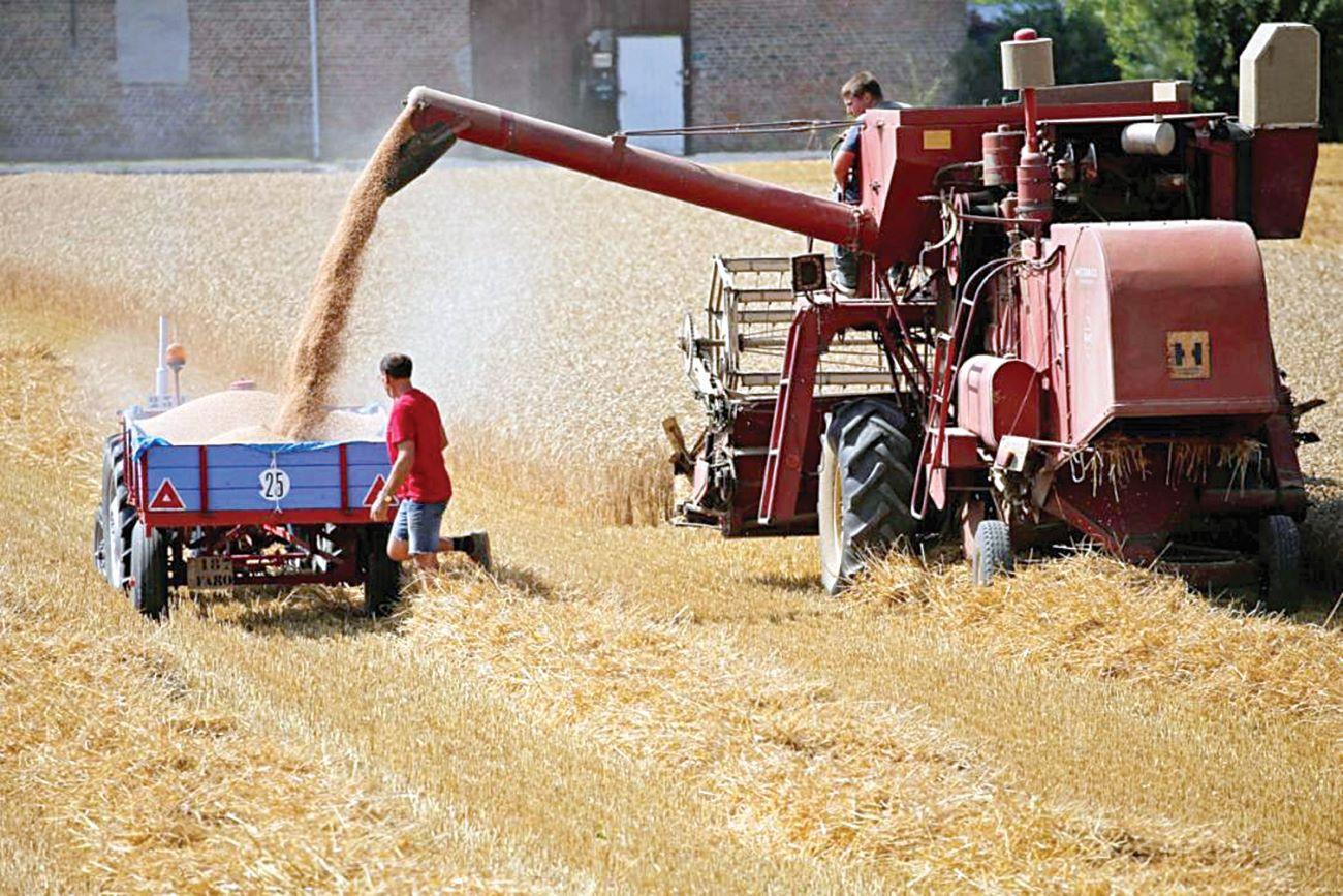 France to ask for early EU aid as drought hits farmers