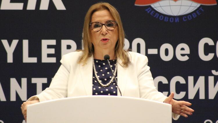 Trade with Russia should reach $100B: Minister